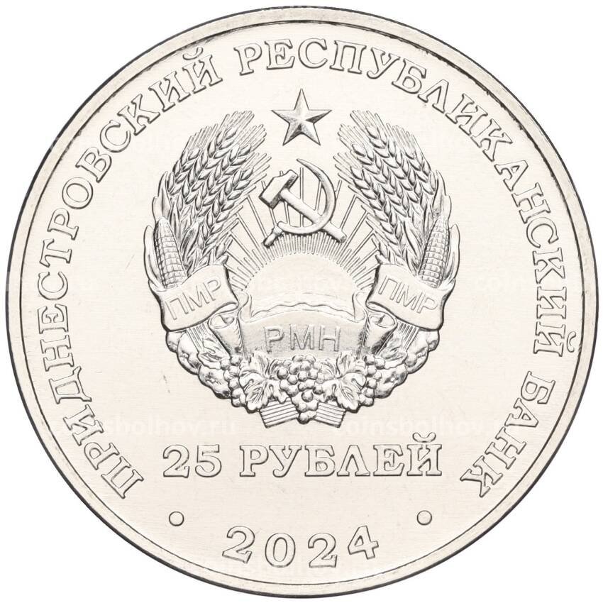 Монета 25 рублей 2024 года Приднестровье «Год семейных ценностей» (вид 2)