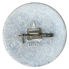 Значок Таллин (вид 2)