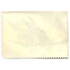 Марка XIV  Зимние Олимпийские игры  — Сараево 1984 год — Фигурное катание (вид 2)