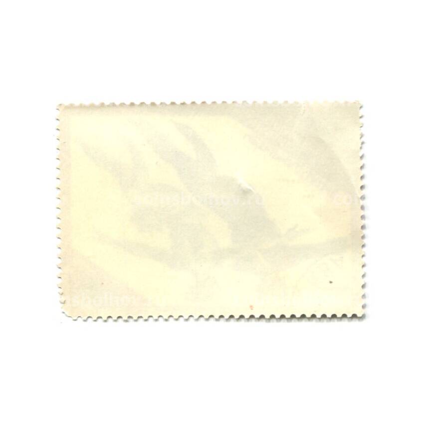 Марка XIV  Зимние Олимпийские игры  — Сараево 1984 год — Фигурное катание (вид 2)