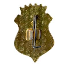 Значок ВСМЗ — 125 лет (вид 2)