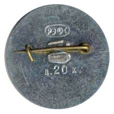 Значок Ротов-на-Дону (вид 2)