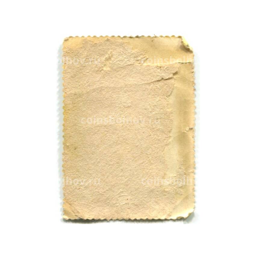 Марка Рубенс «Портрет Камеристки» 1623-1625 годы (вид 2)