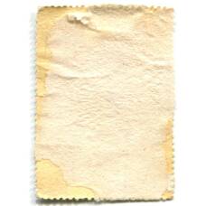 Марка И.Никитин «Портрет напольного Гетмана» 1720-е годы (вид 2)