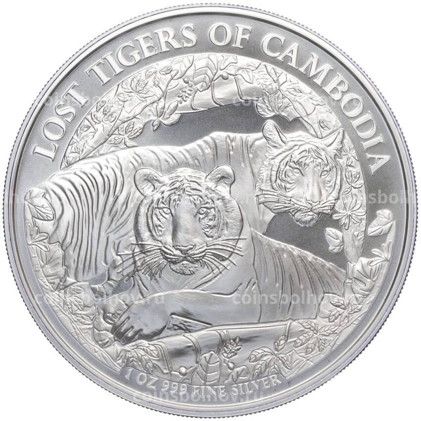 Монета 3000 риэлей 2024 года Камбоджа «Потерянные тигры Камбоджи»