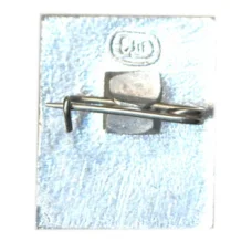 Значок Шушенское 1897-1900 (вид 2)