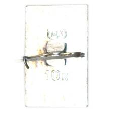 Значок Чехов (вид 2)