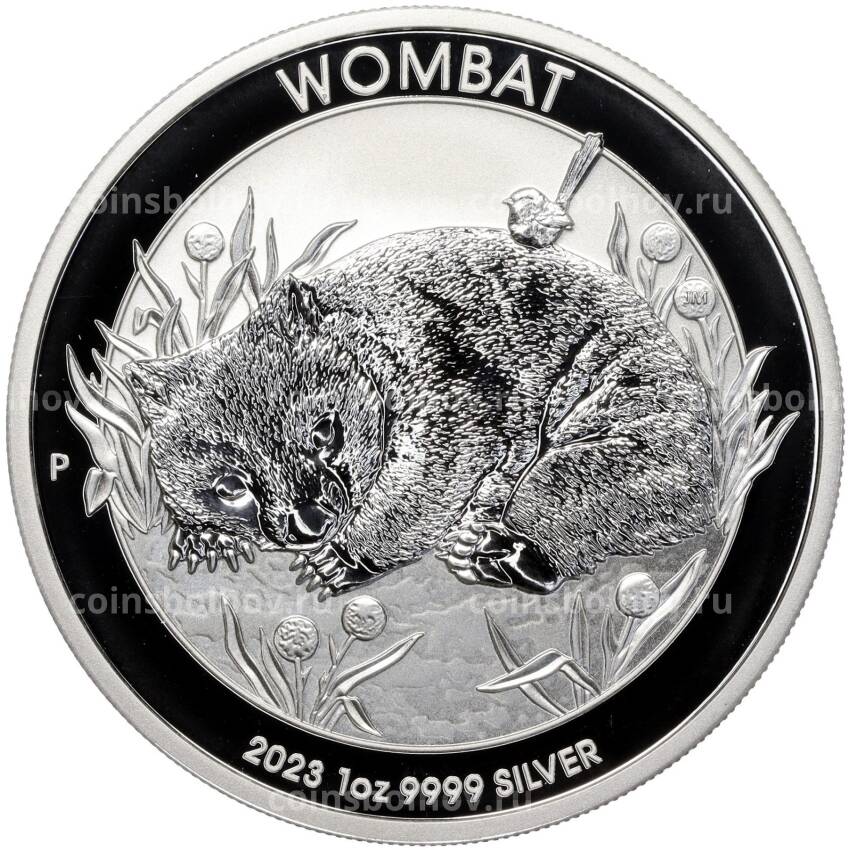 Монета 1 доллар 2023 года Австралия «Вомбат»