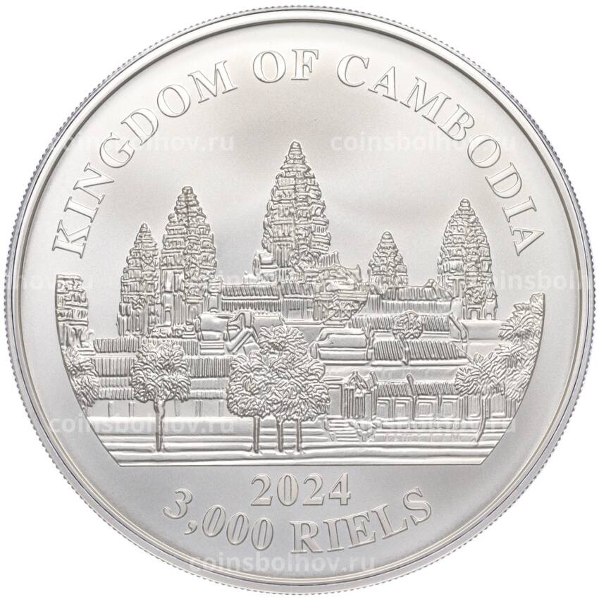 Монета 3000 риэлей 2024 года Камбоджа «Потерянные тигры Камбоджи» (Цветное покрытие) (вид 2)