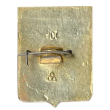 Значок Юрьев (вид 2)