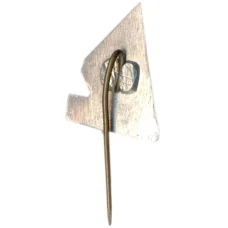 Значок Пуня (вид 2)