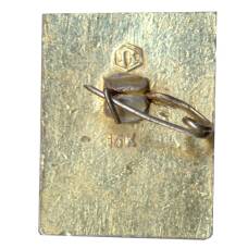 Значок Москва — СЭВ (вид 2)