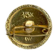 Значок МИР (вид 2)