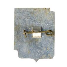 Значок Ростов — на- Дону (вид 2)