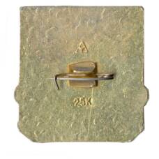 Значок Владимир (вид 2)