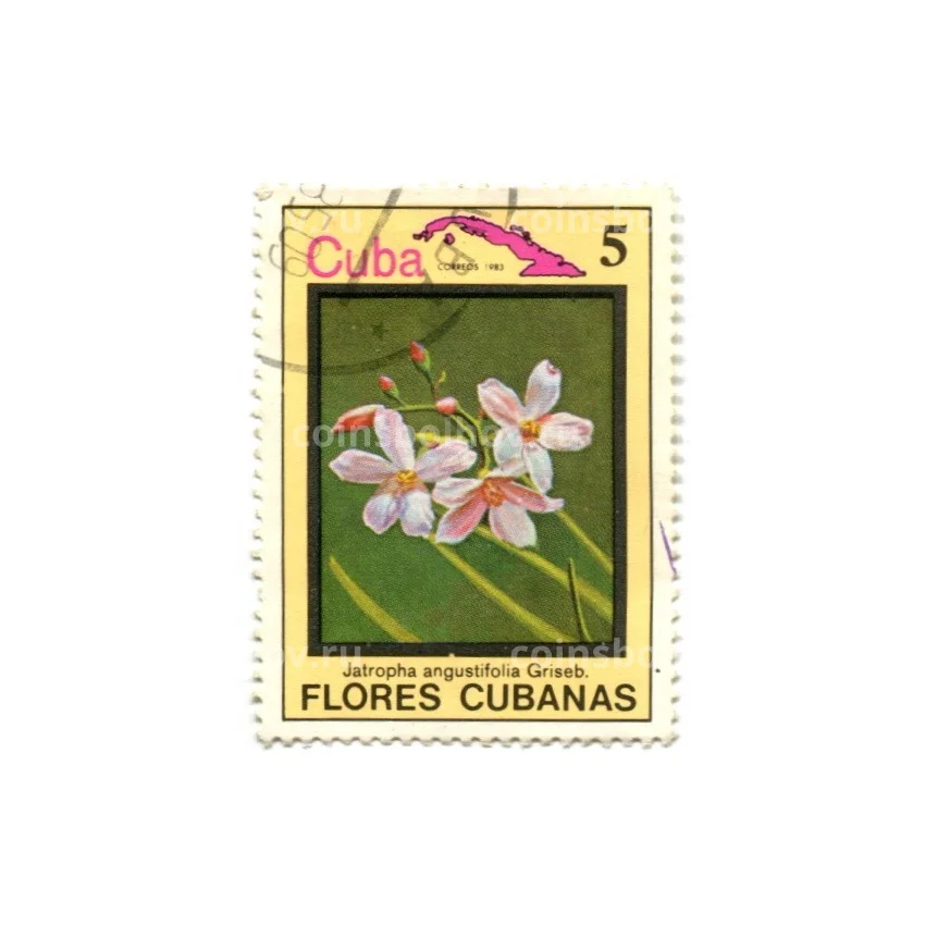 Марка Куба Флора Кубы — Ятропа узколистная