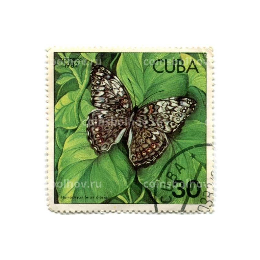Марка Куба бабочки Кубы —  Гамадриас ферокс диазия