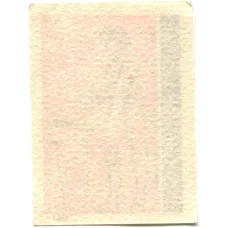 Этикетка спичечная Родословная спички №9 фабрика «Ревпуть» (вид 2)