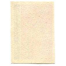 Этикетка спичечная Родословная спички № 8 фабрика «Красная звезда» (вид 2)