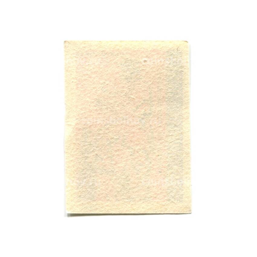 Этикетка спичечная Родословная спички № 7 фабрика «Красная звезда» (вид 2)