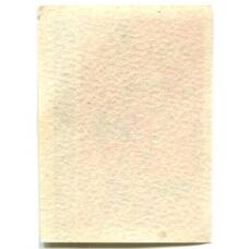 Этикетка спичечная Родословная спички № 6 фабрика «Красная звезда» (вид 2)