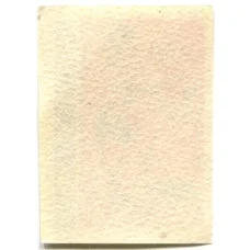 Этикетка спичечная Родословная спички № 6 фабрика «Красная звезда» (вид 2)