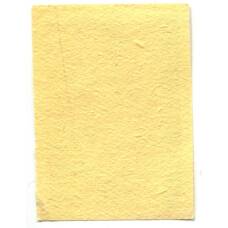 Этикетка спичечная Родословная спички № 7 фабрика «Красная звезда» (вид 2)