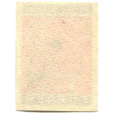 Этикетка спичечная Родословная спички №5 фабрика «Победа» (вид 2)