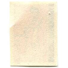 Этикетка спичечная Родословная спичка №9 фабрика «Красная звезда» (вид 2)