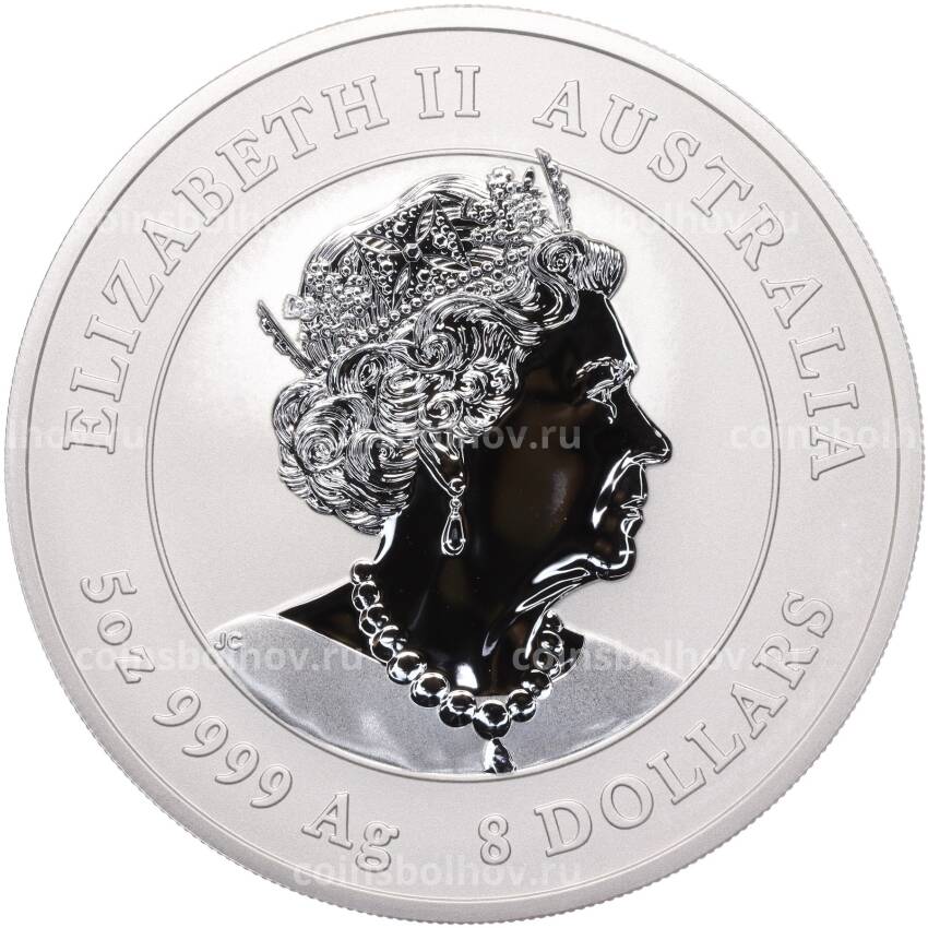 Монета 8 долларов 2023 года Австралия «Год кролика» (Цветное покрытие) (вид 2)