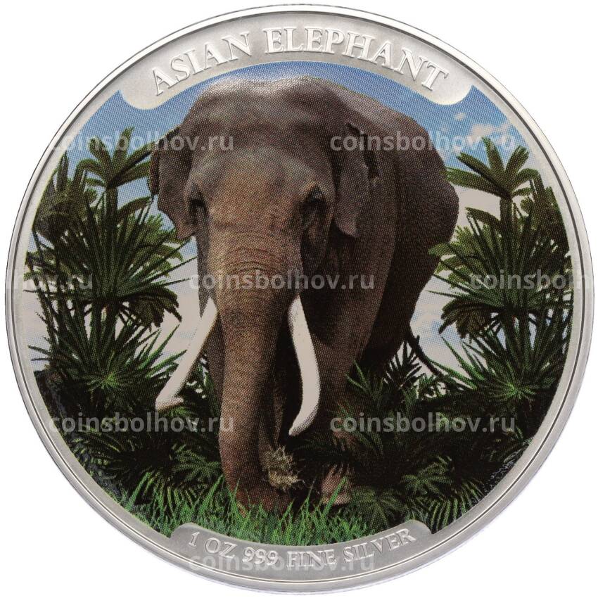 Монета 3000 риелей 2023 года Камбоджа «Азиатский слон» (Цветное покрытие)