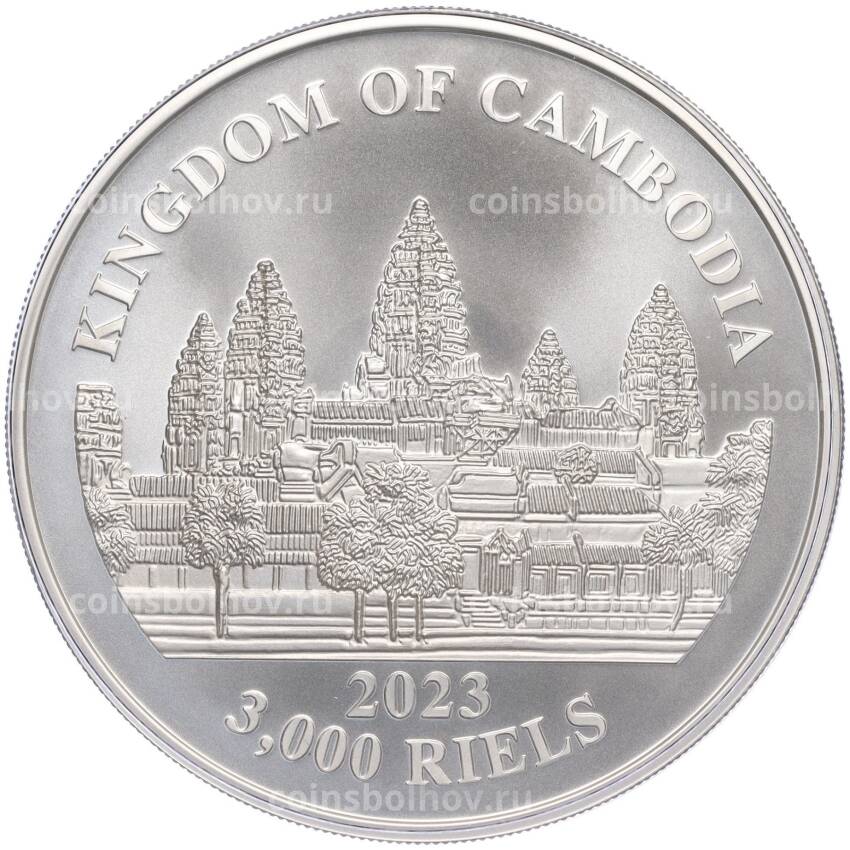Монета 3000 риелей 2023 года Камбоджа «Азиатский слон» (Цветное покрытие) (вид 2)