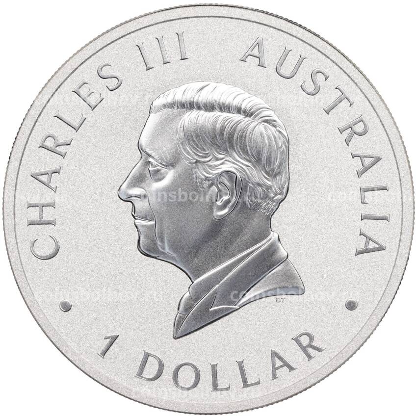 Монета 1 доллар 2024 года Австралия «Австралийская кукабара» (вид 2)