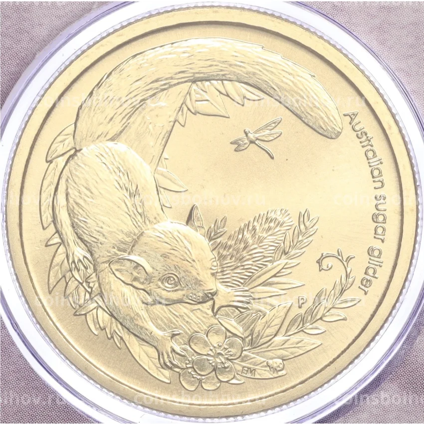 Монета 1 доллар 2011 года Австралия «Детеныши диких животных — Сахарная летяга» (в конверте с почтовой маркой)