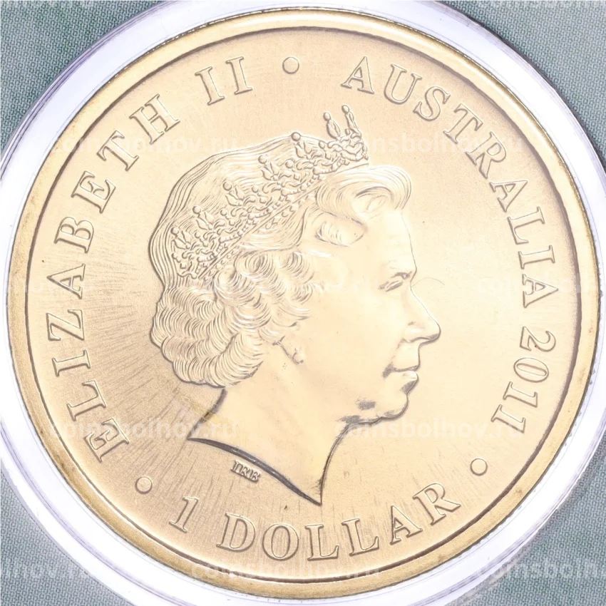 Монета 1 доллар 2011 года Австралия «Детеныши диких животных — Бандикут» (в конверте с почтовой маркой) (вид 2)