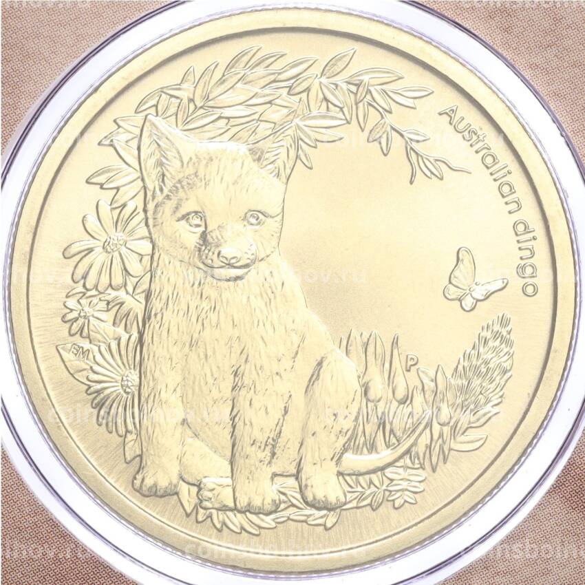 Монета 1 доллар 2011 года Австралия «Детеныши диких животных — Динго» (в конверте с почтовой маркой)