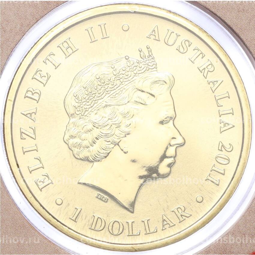 Монета 1 доллар 2011 года Австралия «Детеныши диких животных — Динго» (в конверте с почтовой маркой) (вид 2)
