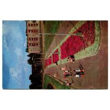 Открытка Великие Луки. Набережная реки Ловати (аверс)