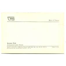 Открытка Великие Луки. Набережная реки Ловати (реверс)