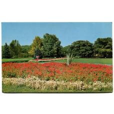 Открытка Минск.Ботанический сад Академии наук БССР (аверс)