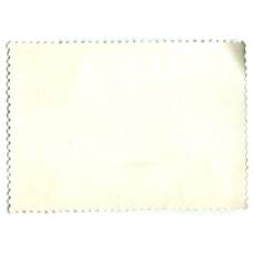 Марка Н.П.Клыков «Рыбак» 1933 год (вид 2)