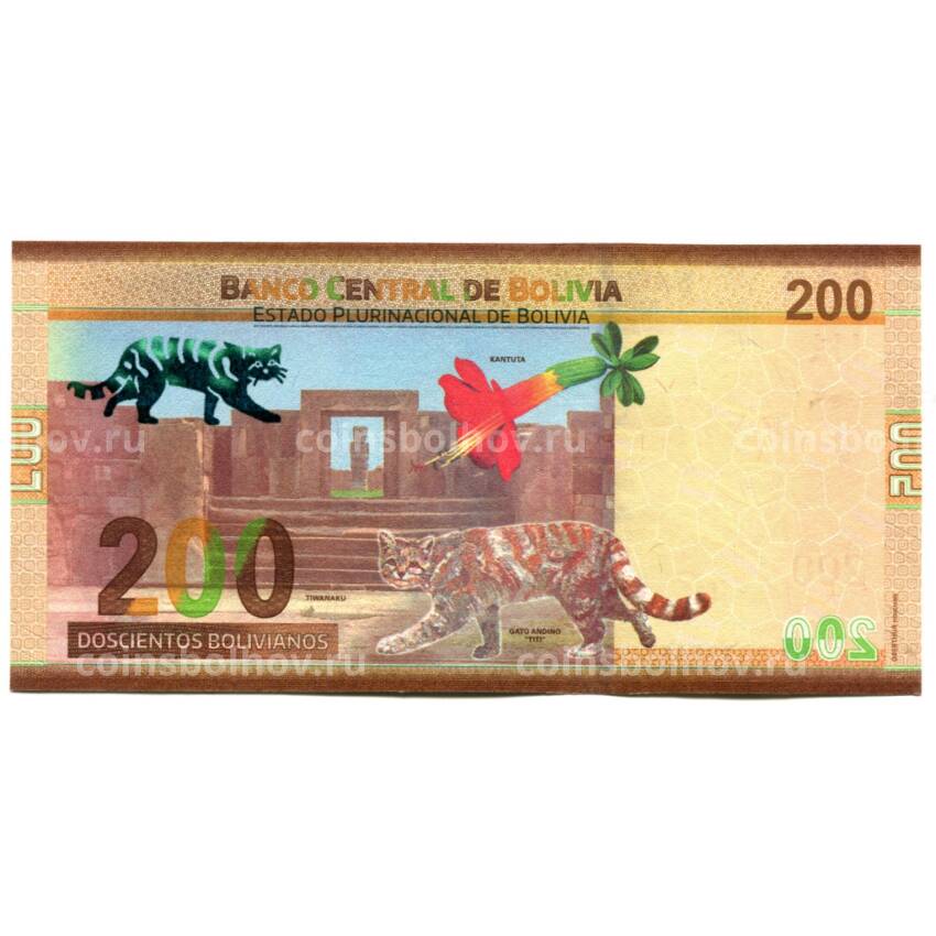 Банкнота 200 боливиано 2019 года Боливиа (вид 2)