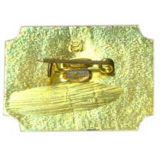 Значок Санкт-Петербург Дворец-музей А.Д.Меншикова (вид 2)