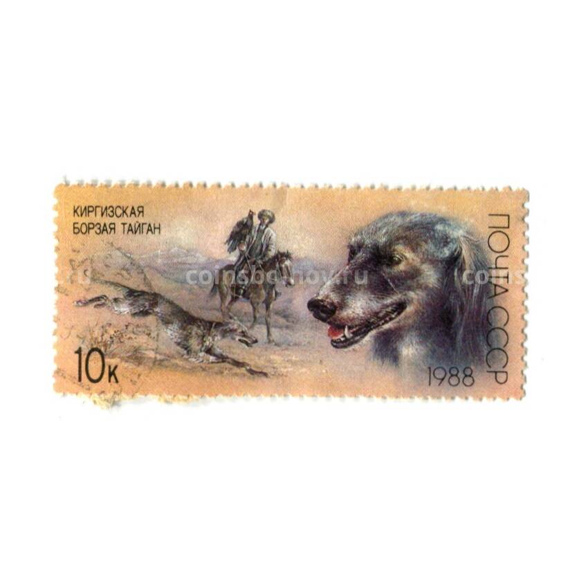 Марка Киргизская борзая Тайган 1988 год