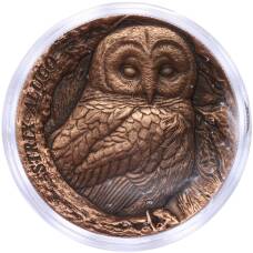 Монета 25 центов 2023 года Самоа «Серая неясыть» (аверс)