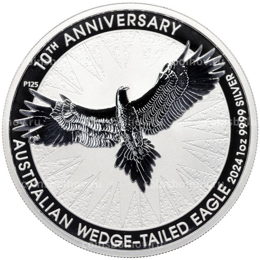 Монета 1 доллар 2024 года Австралия «Австралийский клинохвостый орел — 10-летие чеканки»