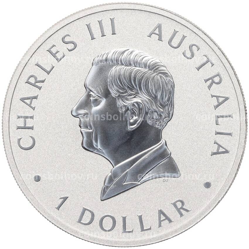 Монета 1 доллар 2024 года Австралия «Австралийский клинохвостый орел — 10-летие чеканки» (вид 2)
