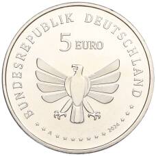 Монета 5 евро 2024 года А Германия «Чудесный мир насекомых — Зелёный кузнечик» (реверс)