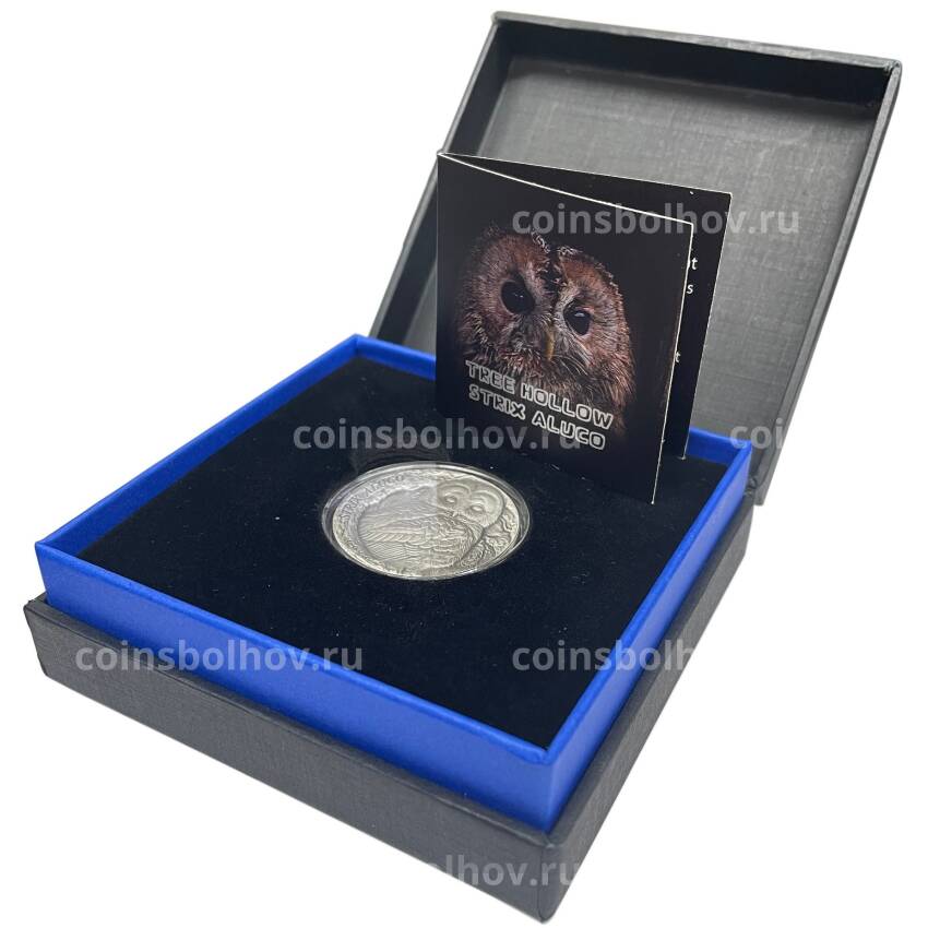 Монета 2 доллара 2023 года Самоа «Серая неясыть» (в коробке) (вид 3)