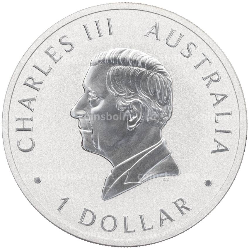 Монета 1 доллар 2024 года Австралия «Коала» (вид 2)